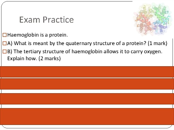 Exam Practice � Haemoglobin is a protein. � A) What is meant by the