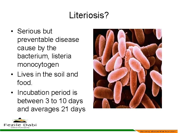 Literiosis? • Serious but preventable disease cause by the bacterium, listeria monocytogen • Lives