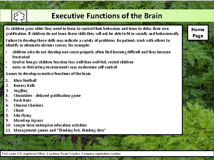 Executive Functions of the Brain As children grow older they need to learn to