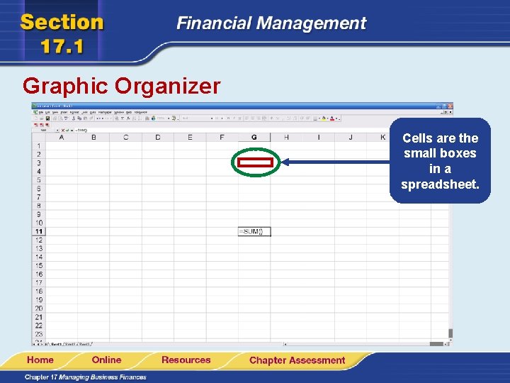 Graphic Organizer Cells are the small boxes in a spreadsheet. 