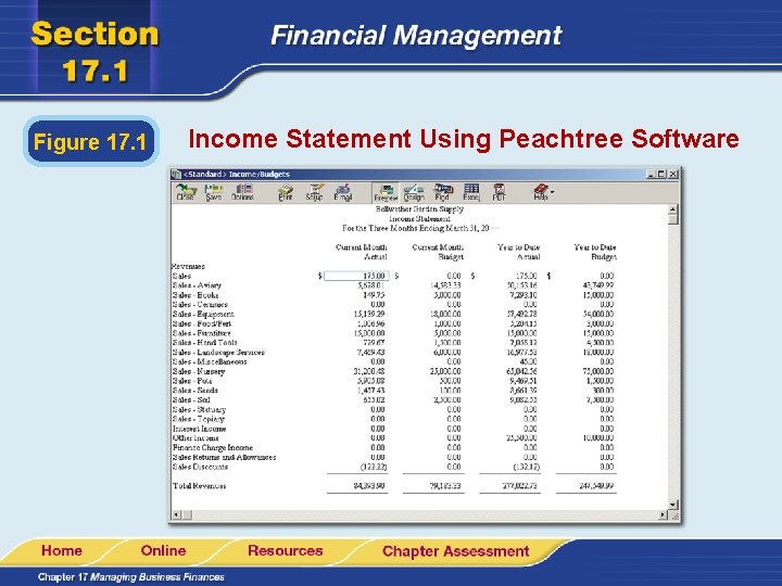 Figure 17. 1 Income Statement Using Peachtree Software 