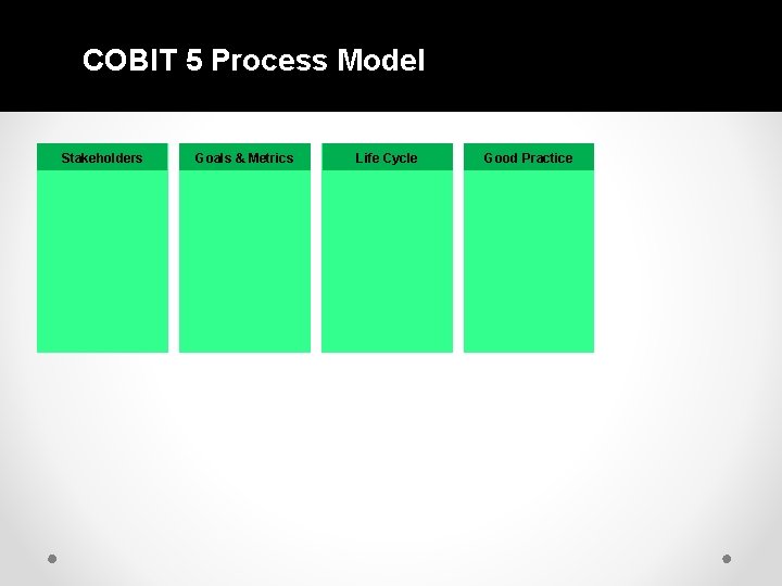 COBIT 5 Process Model Stakeholders Goals & Metrics Life Cycle Good Practice 