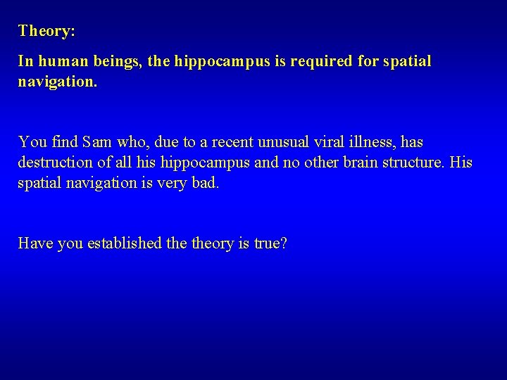 Theory: In human beings, the hippocampus is required for spatial navigation. You find Sam
