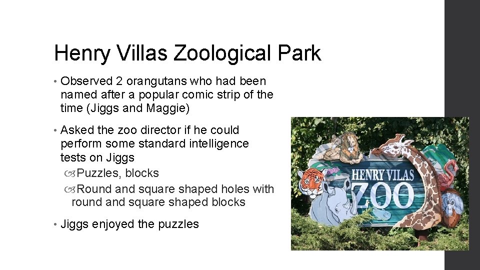 Henry Villas Zoological Park • Observed 2 orangutans who had been named after a