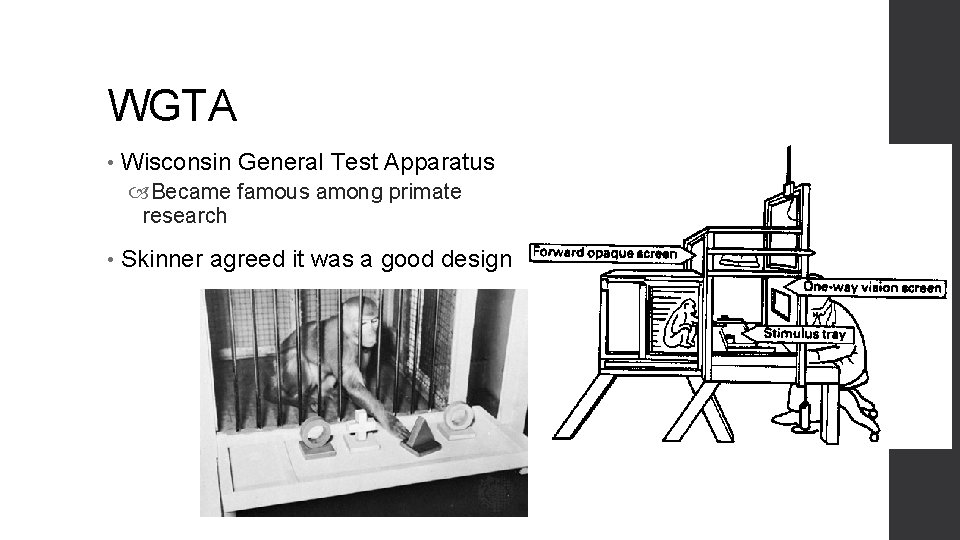 WGTA • Wisconsin General Test Apparatus Became famous among primate research • Skinner agreed