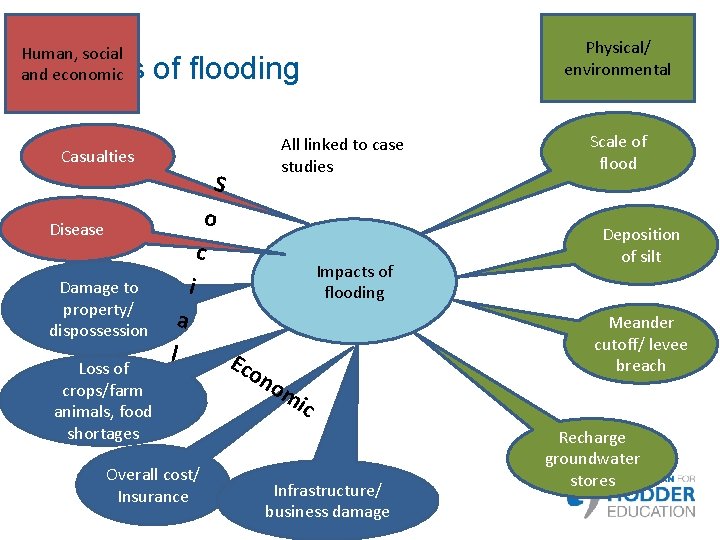 Physical/ environmental Human, social and economic Impacts of flooding All linked to case studies