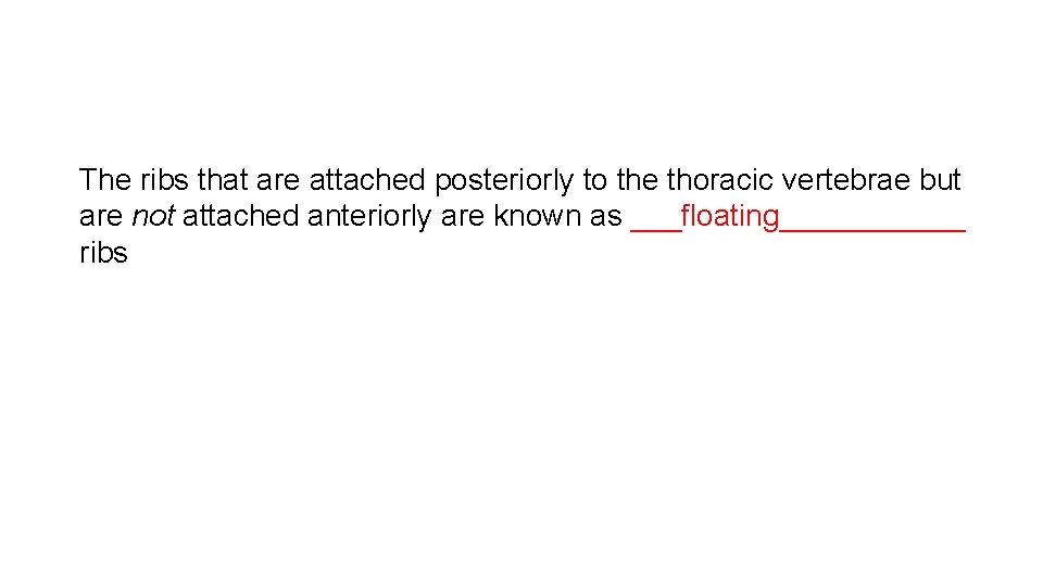 The ribs that are attached posteriorly to the thoracic vertebrae but are not attached