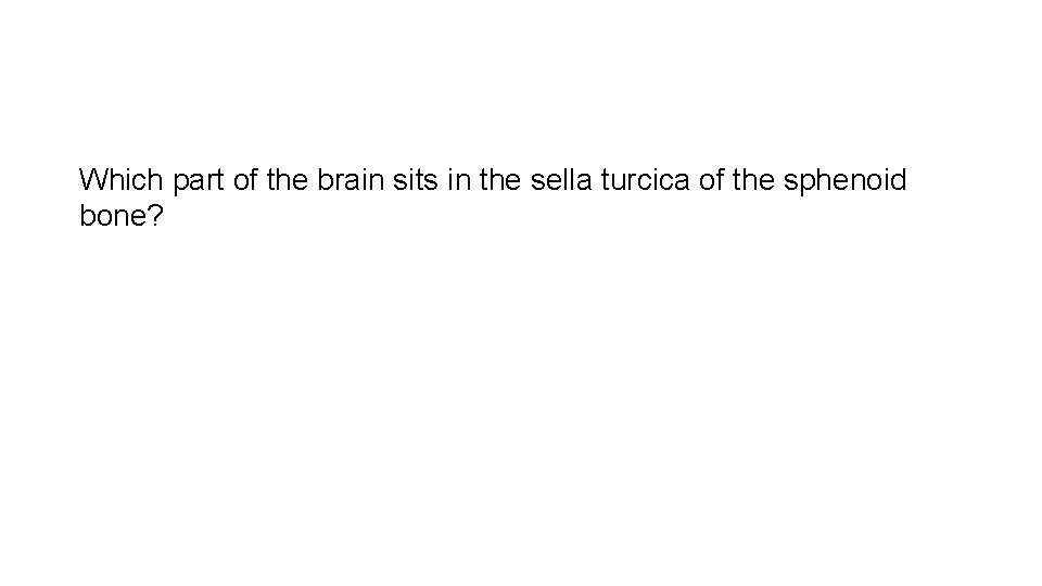 Which part of the brain sits in the sella turcica of the sphenoid bone?