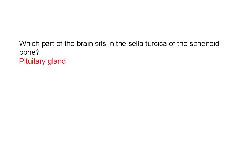 Which part of the brain sits in the sella turcica of the sphenoid bone?