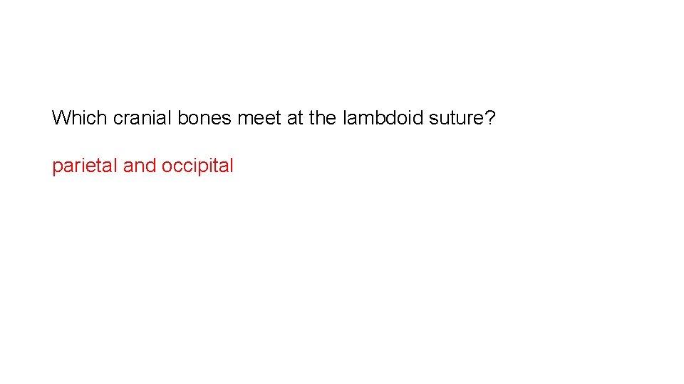 Which cranial bones meet at the lambdoid suture? parietal and occipital 
