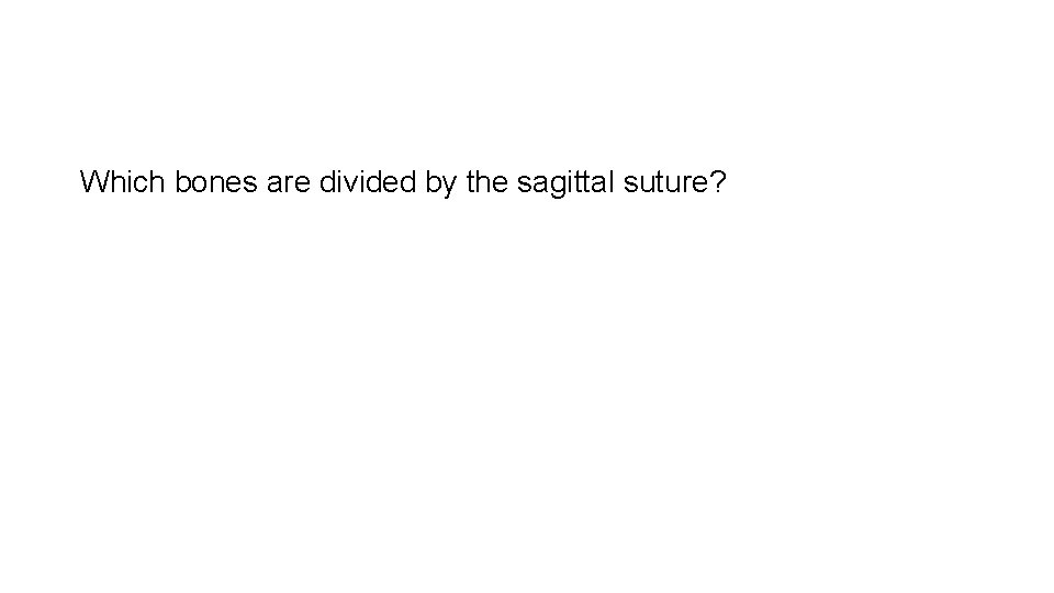 Which bones are divided by the sagittal suture? 
