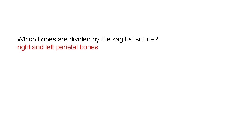 Which bones are divided by the sagittal suture? right and left parietal bones 