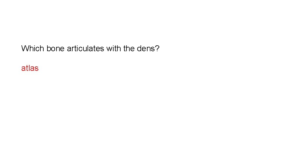 Which bone articulates with the dens? atlas 
