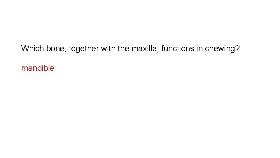 Which bone, together with the maxilla, functions in chewing? mandible 