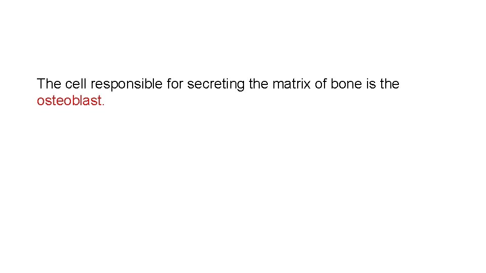 The cell responsible for secreting the matrix of bone is the osteoblast. 
