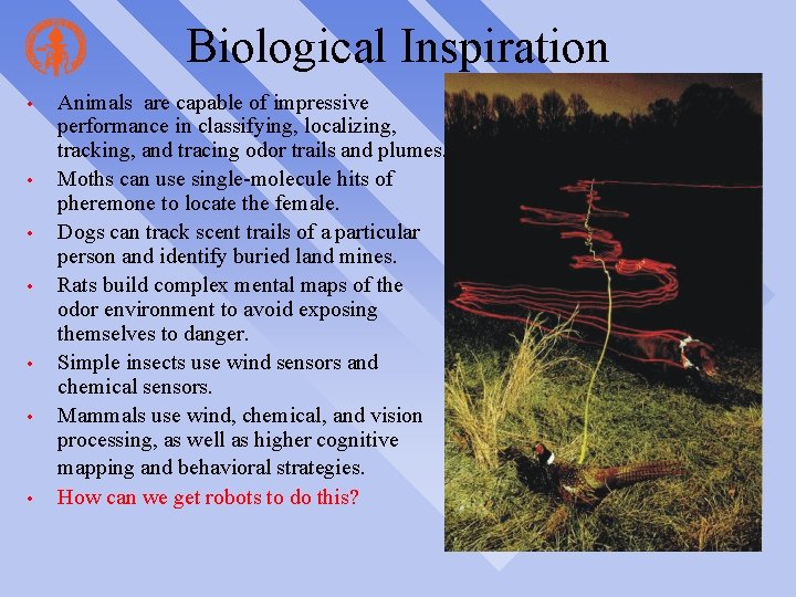 Biological Inspiration • • Animals are capable of impressive performance in classifying, localizing, tracking,