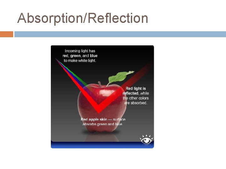 Absorption/Reflection 