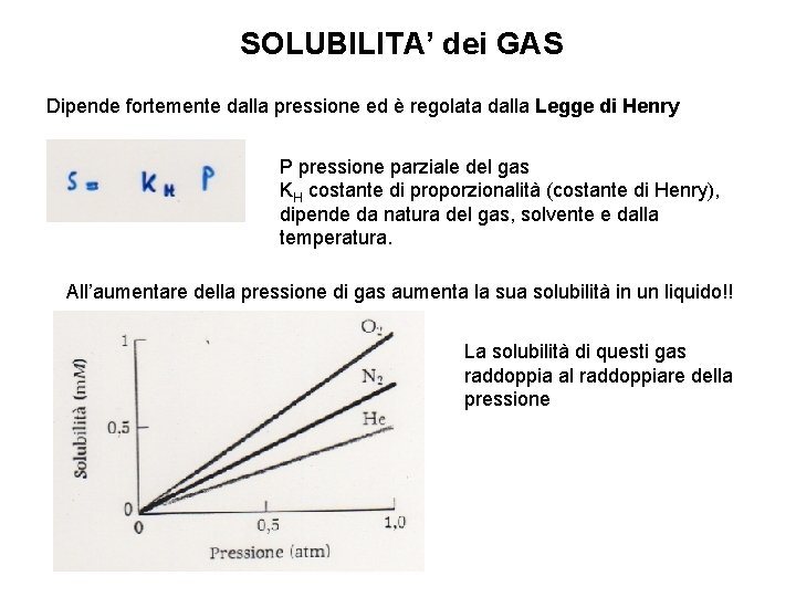 SOLUBILITA’ dei GAS Dipende fortemente dalla pressione ed è regolata dalla Legge di Henry