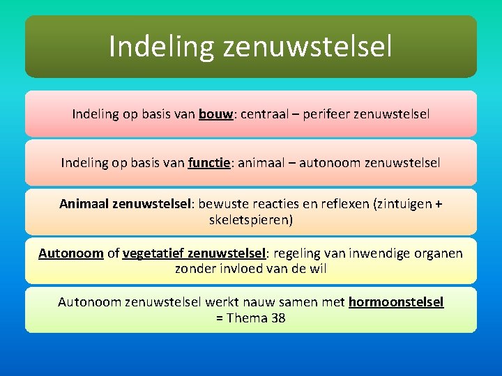 Indeling zenuwstelsel Indeling op basis van bouw: centraal – perifeer zenuwstelsel Indeling op basis