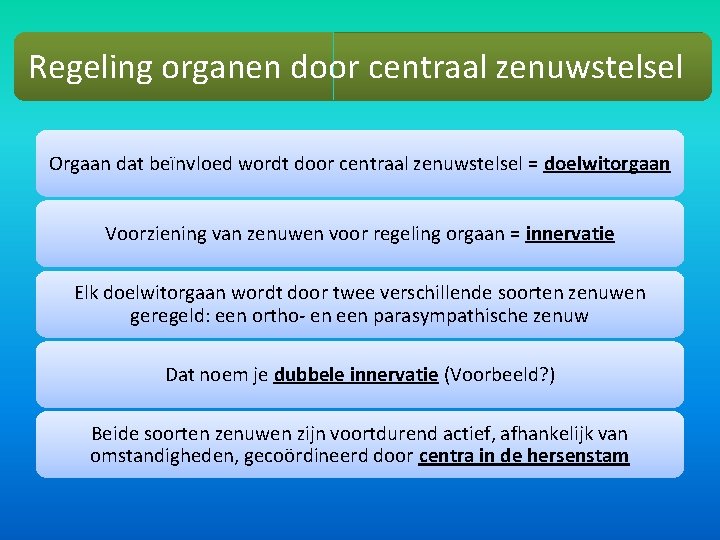 Regeling organen door centraal zenuwstelsel Orgaan dat beïnvloed wordt door centraal zenuwstelsel = doelwitorgaan