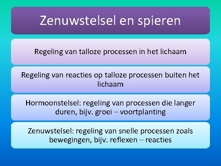 Zenuwstelsel en spieren Regeling van talloze processen in het lichaam Regeling van reacties op