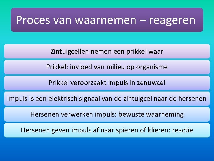 Proces van waarnemen – reageren Zintuigcellen nemen een prikkel waar Prikkel: invloed van milieu