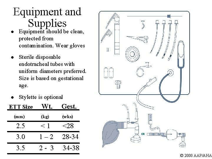 Equipment and Supplies l Equipment should be clean, protected from contamination. Wear gloves l
