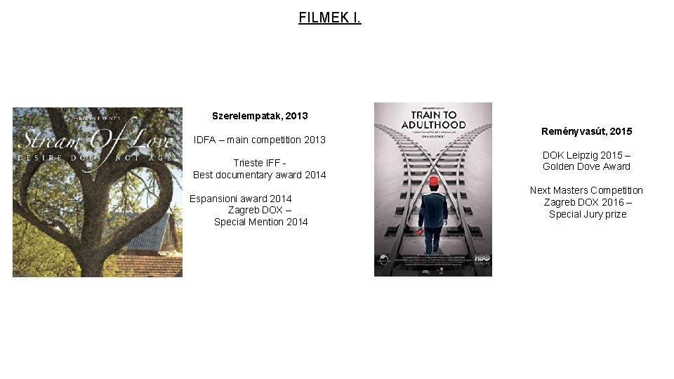 FILMEK I. Szerelempatak, 2013 IDFA – main competition 2013 Trieste IFF - Best documentary