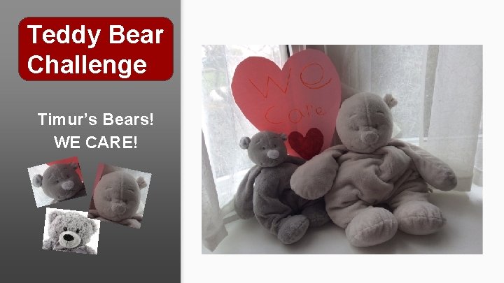 Teddy Bear Challenge Timur’s Bears! WE CARE! 