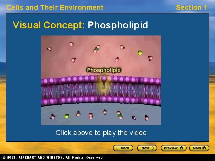 Cells and Their Environment Visual Concept: Phospholipid Click above to play the video Section