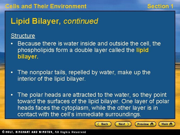 Cells and Their Environment Section 1 Lipid Bilayer, continued Structure • Because there is
