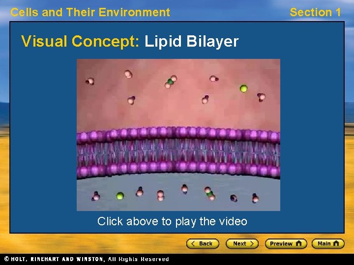 Cells and Their Environment Visual Concept: Lipid Bilayer Click above to play the video