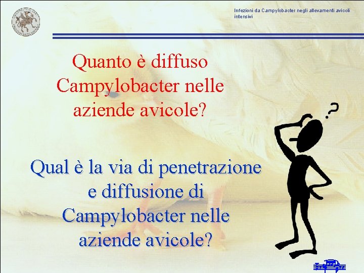 Infezioni da Campylobacter negli allevamenti avicoli intensivi Quanto è diffuso Campylobacter nelle aziende avicole?