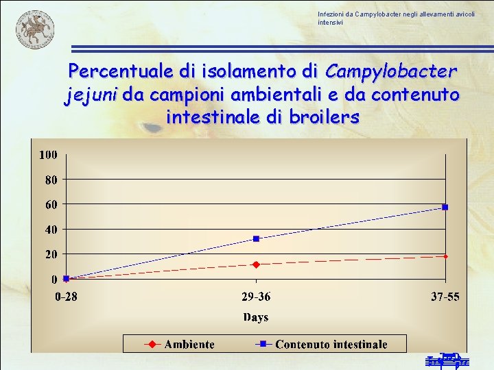 Infezioni da Campylobacter negli allevamenti avicoli intensivi Percentuale di isolamento di Campylobacter jejuni da