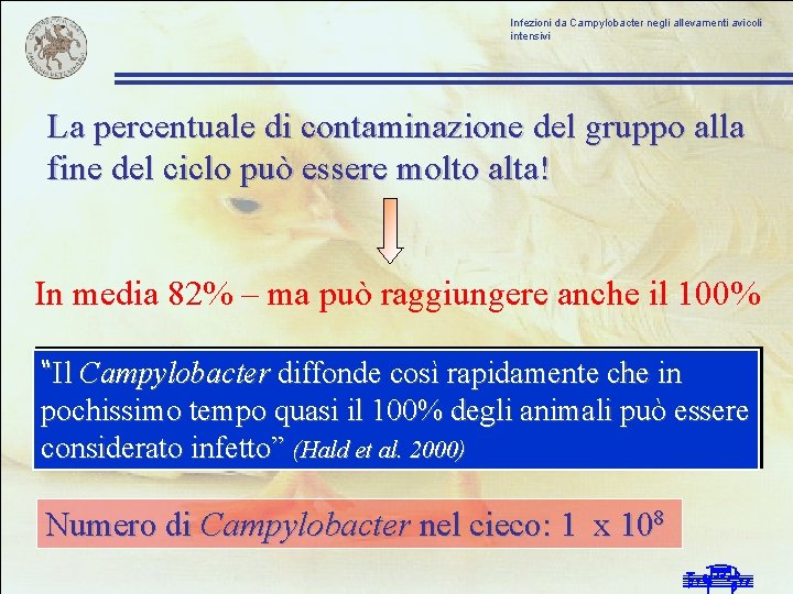 Infezioni da Campylobacter negli allevamenti avicoli intensivi La percentuale di contaminazione del gruppo alla