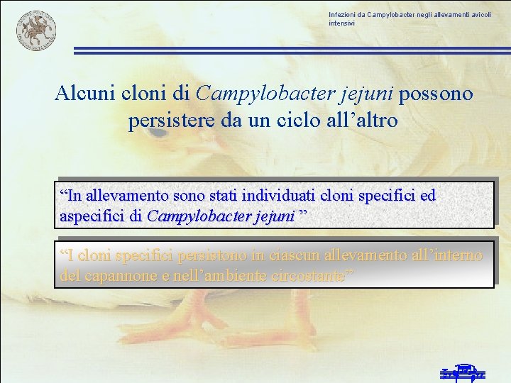 Infezioni da Campylobacter negli allevamenti avicoli intensivi Alcuni cloni di Campylobacter jejuni possono persistere