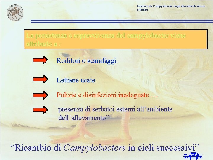 Infezioni da Campylobacter negli allevamenti avicoli intensivi La persistenza e sopravvivenza del campylobacter viene