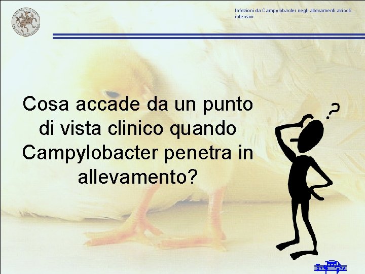 Infezioni da Campylobacter negli allevamenti avicoli intensivi Cosa accade da un punto di vista