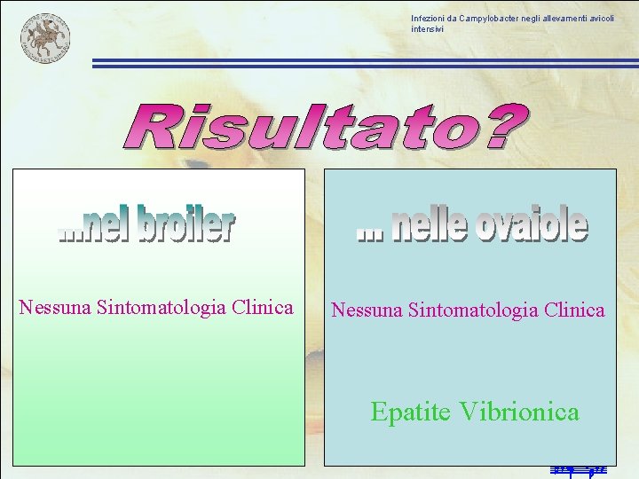 Infezioni da Campylobacter negli allevamenti avicoli intensivi Nessuna Sintomatologia Clinica Epatite Vibrionica 