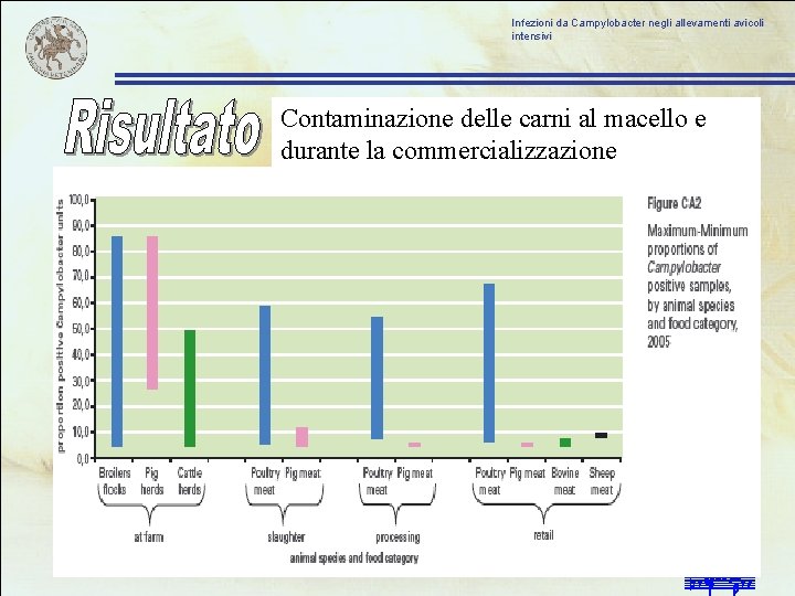 Infezioni da Campylobacter negli allevamenti avicoli intensivi Contaminazione delle carni al macello e durante