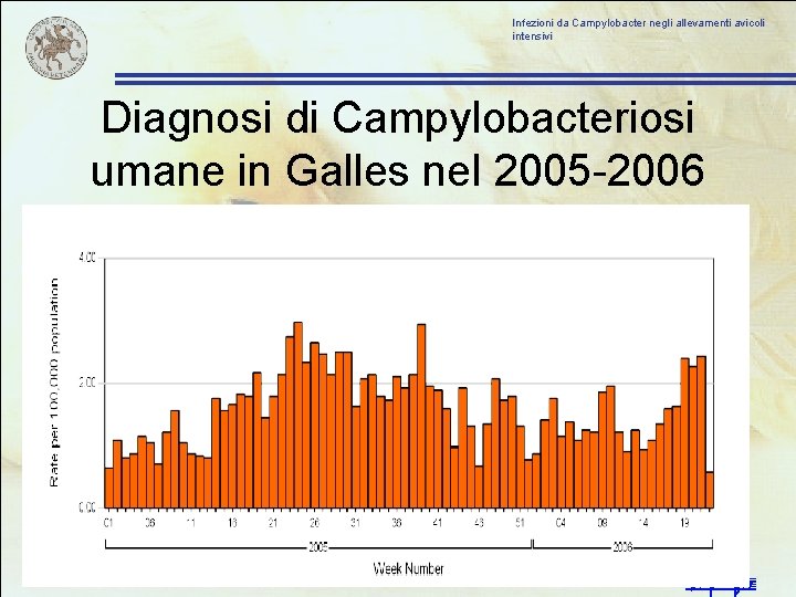 Infezioni da Campylobacter negli allevamenti avicoli intensivi Diagnosi di Campylobacteriosi umane in Galles nel