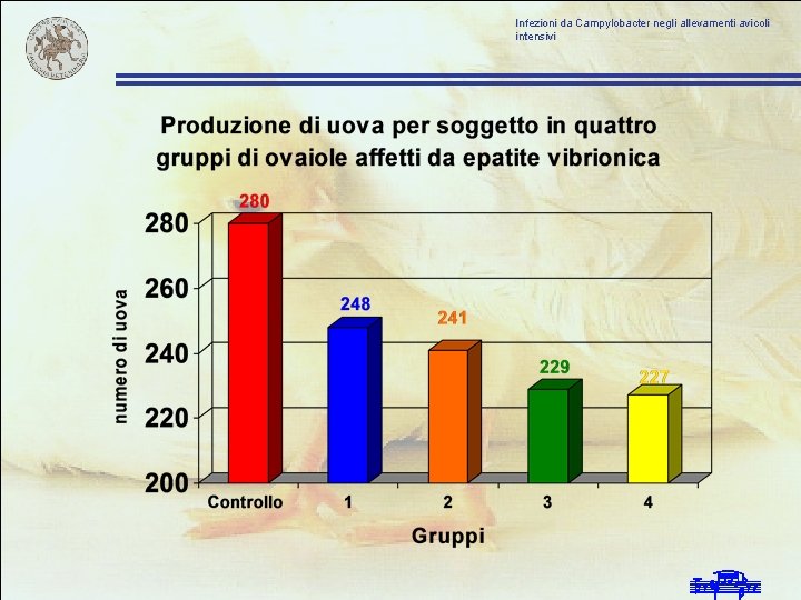 Infezioni da Campylobacter negli allevamenti avicoli intensivi 