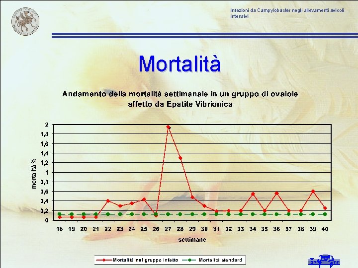 Infezioni da Campylobacter negli allevamenti avicoli intensivi Mortalità 