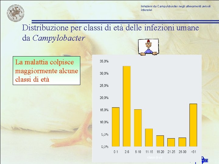 Infezioni da Campylobacter negli allevamenti avicoli intensivi Distribuzione per classi di età delle infezioni