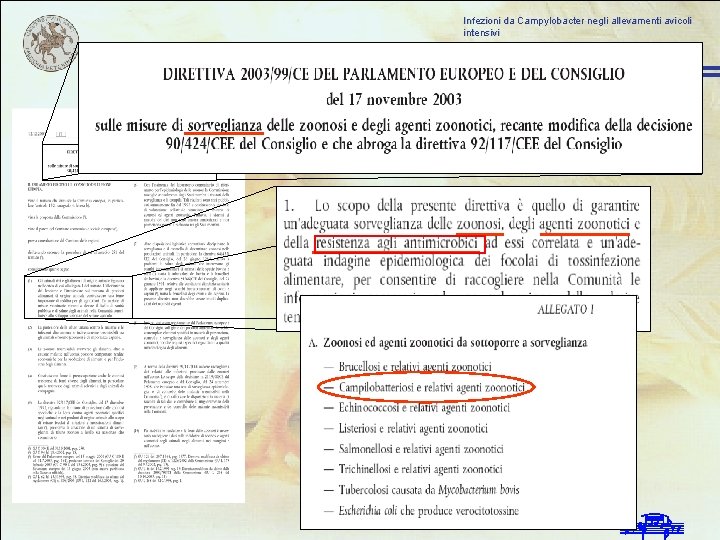 Infezioni da Campylobacter negli allevamenti avicoli intensivi 