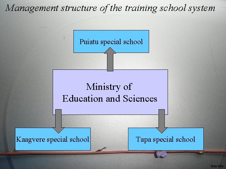 Management structure of the training school system Puiatu special school Ministry of Education and