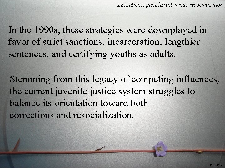 Institutions: punishment versus resocialization In the 1990 s, these strategies were downplayed in favor