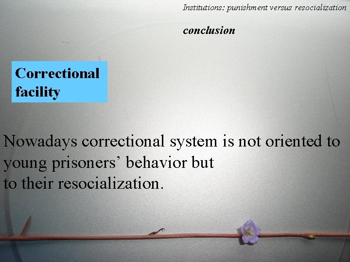 Institutions: punishment versus resocialization conclusion Correctional facility Nowadays correctional system is not oriented to