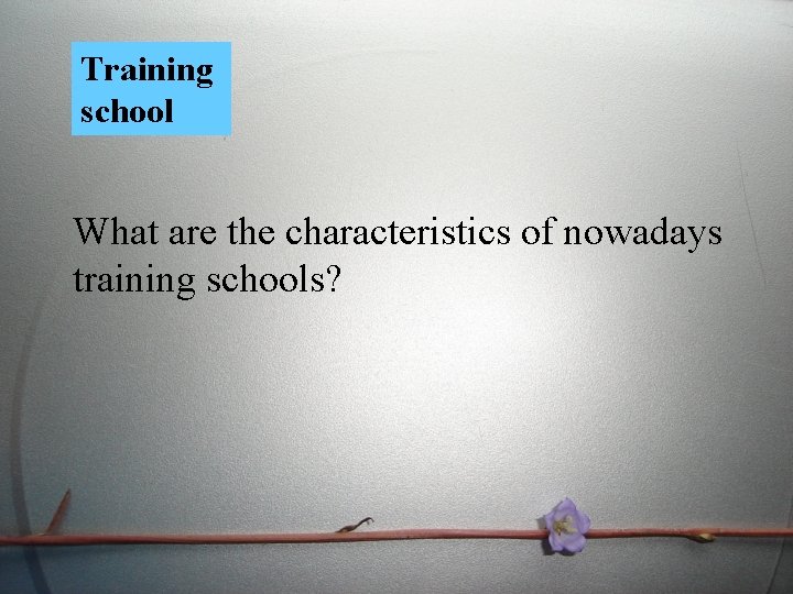 Training school What are the characteristics of nowadays training schools? 