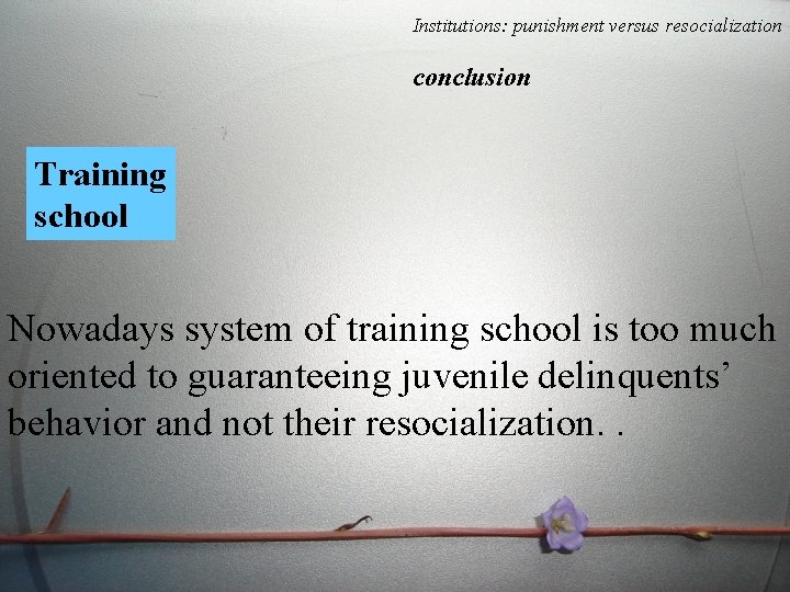 Institutions: punishment versus resocialization conclusion Training school Nowadays system of training school is too